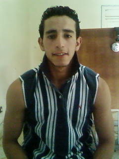 hiho aladaian